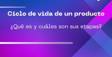 ciclo de vida de un producto