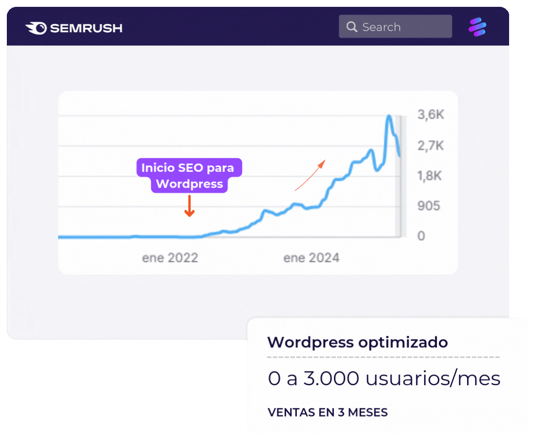 agencia seo wordpress